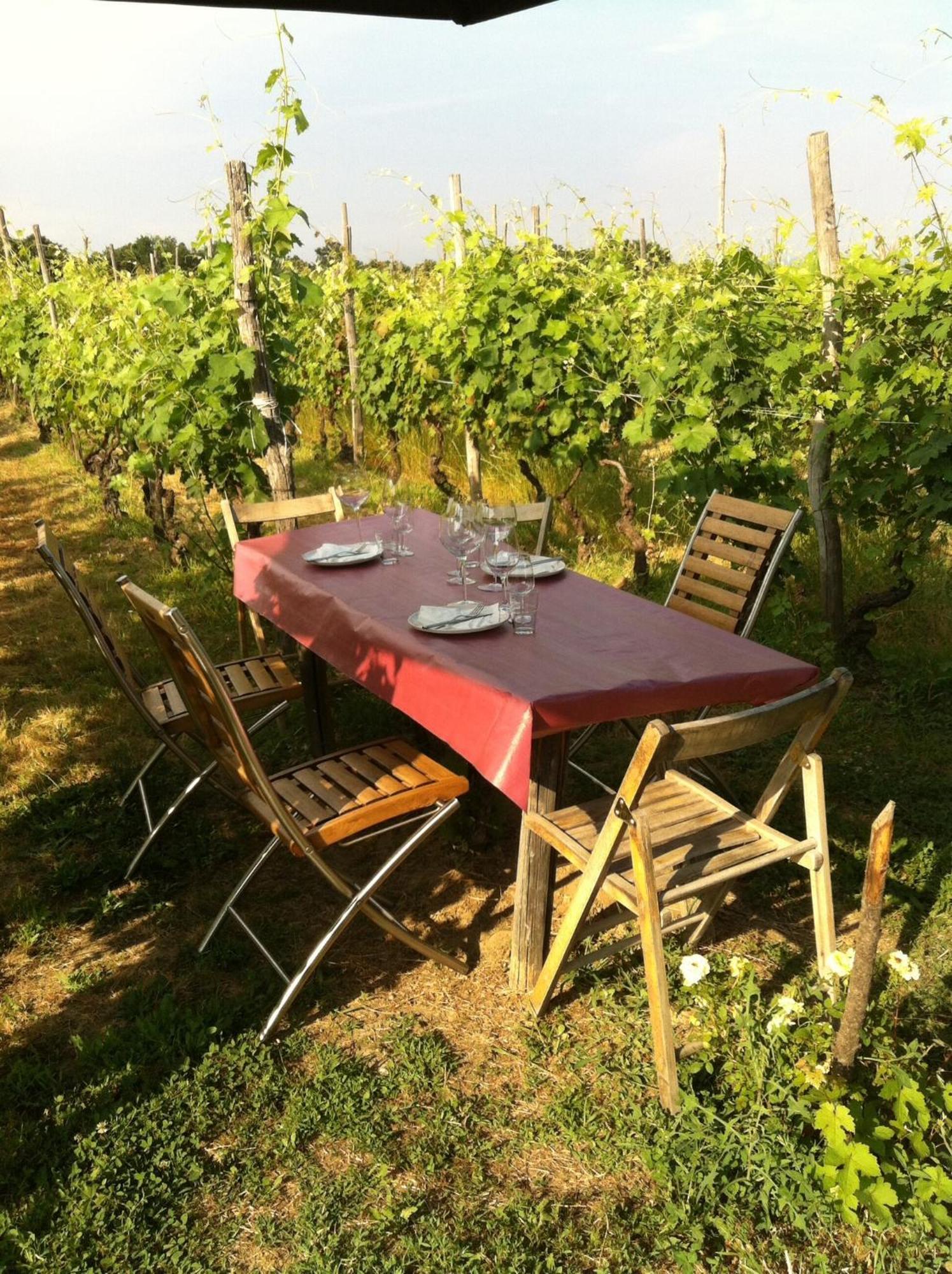 Cascina La Maddalena Bed & Wine Villa Rocca Grimalda Dış mekan fotoğraf