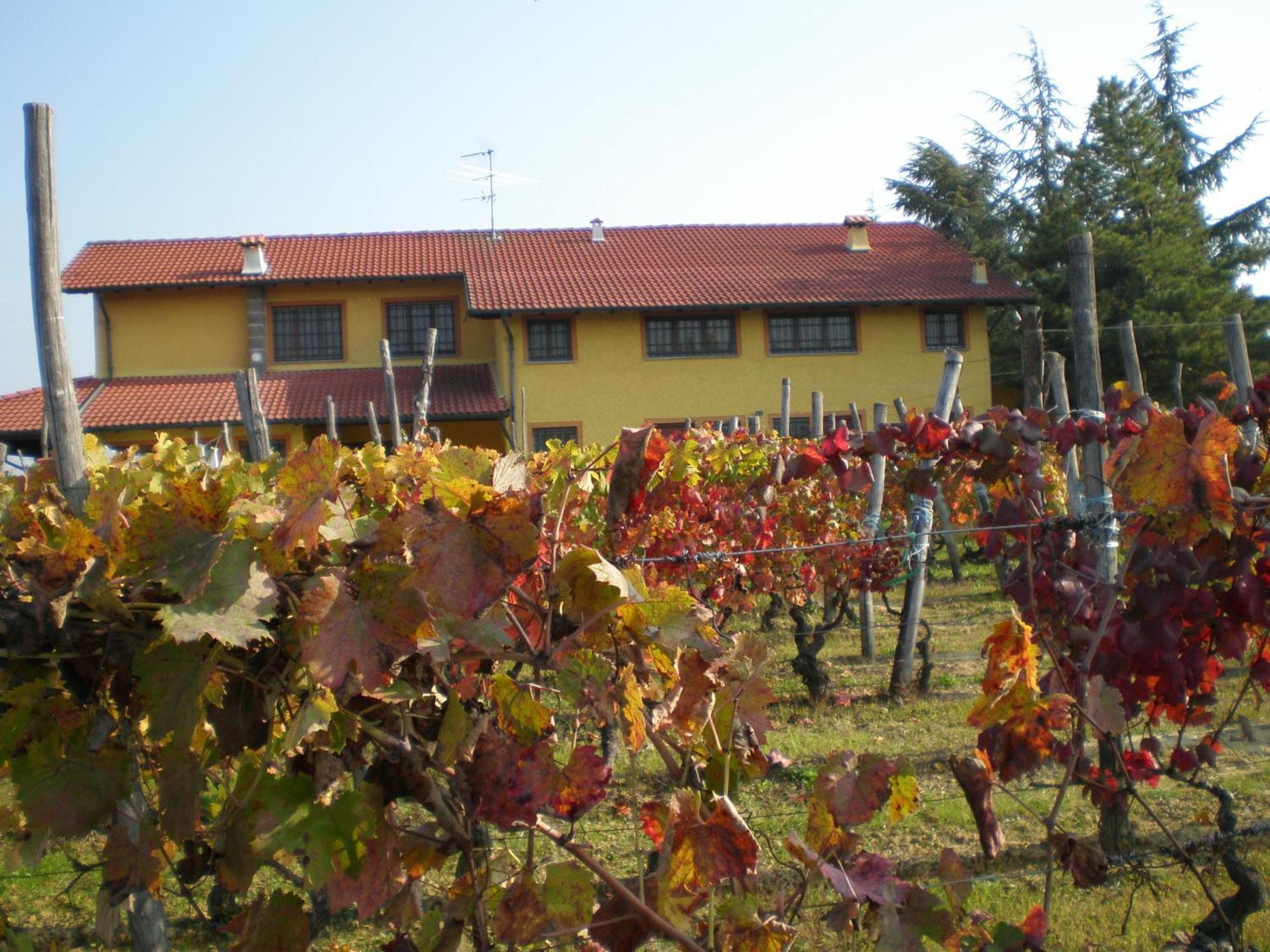 Cascina La Maddalena Bed & Wine Villa Rocca Grimalda Dış mekan fotoğraf