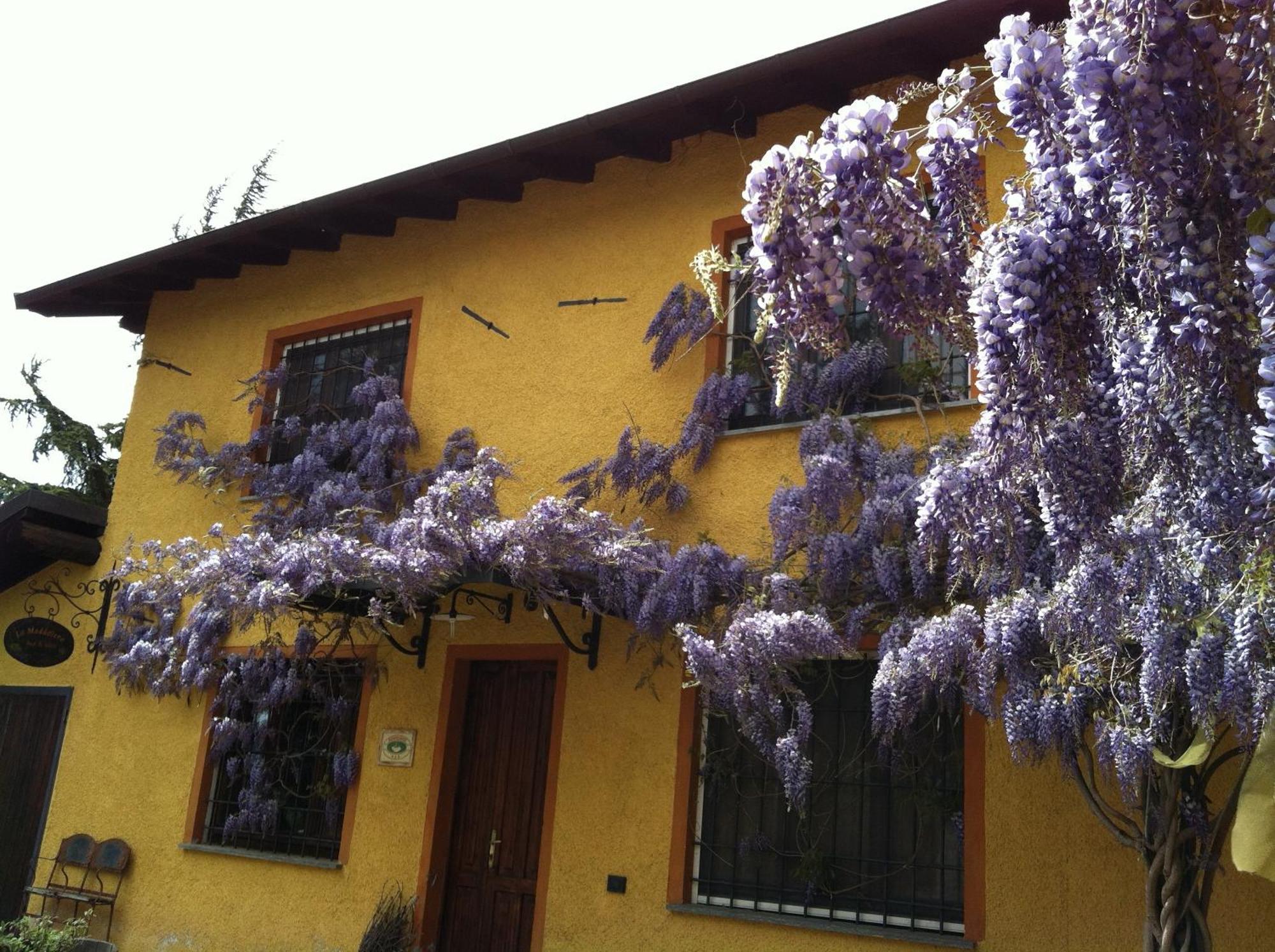 Cascina La Maddalena Bed & Wine Villa Rocca Grimalda Dış mekan fotoğraf