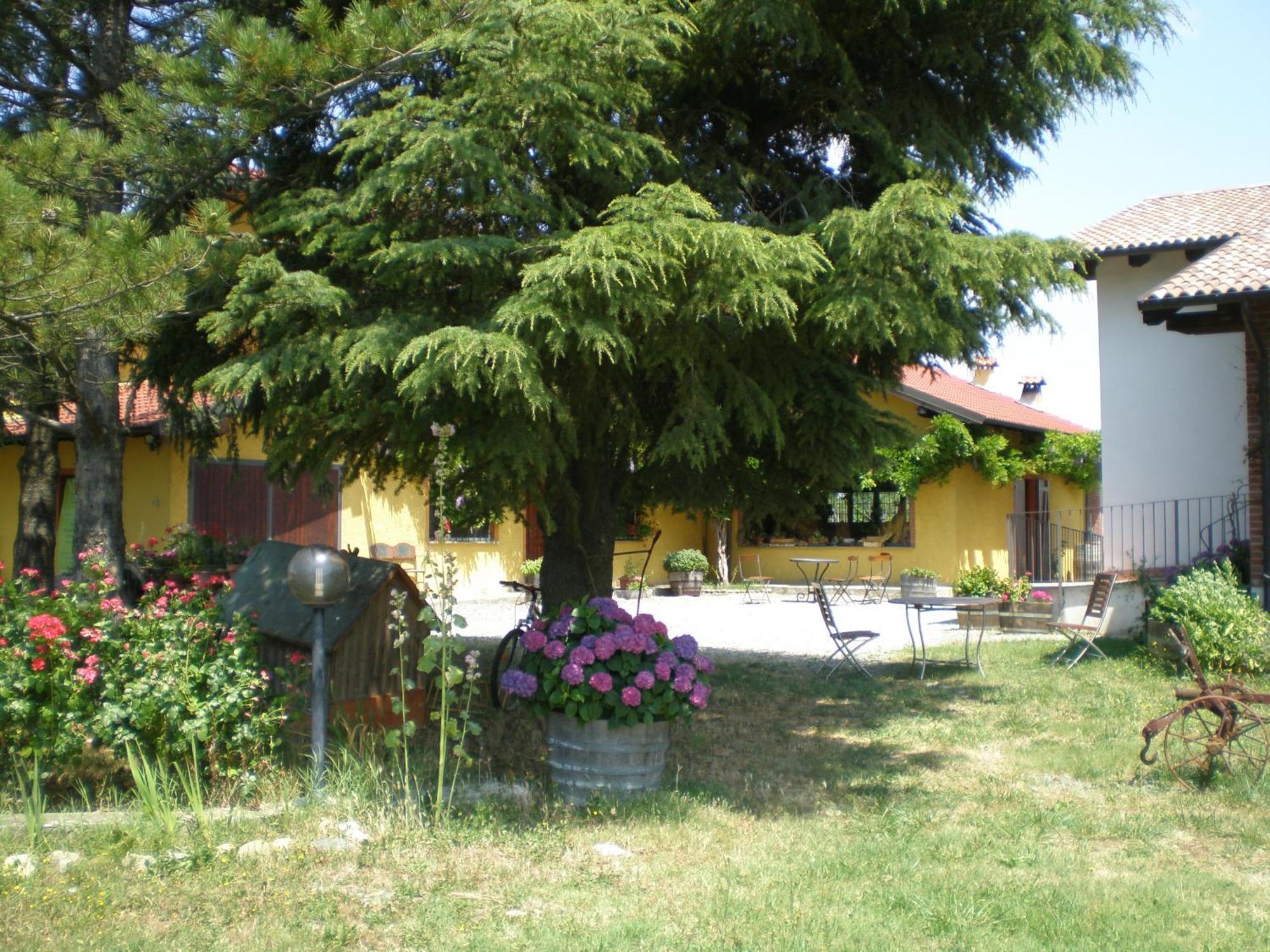 Cascina La Maddalena Bed & Wine Villa Rocca Grimalda Dış mekan fotoğraf