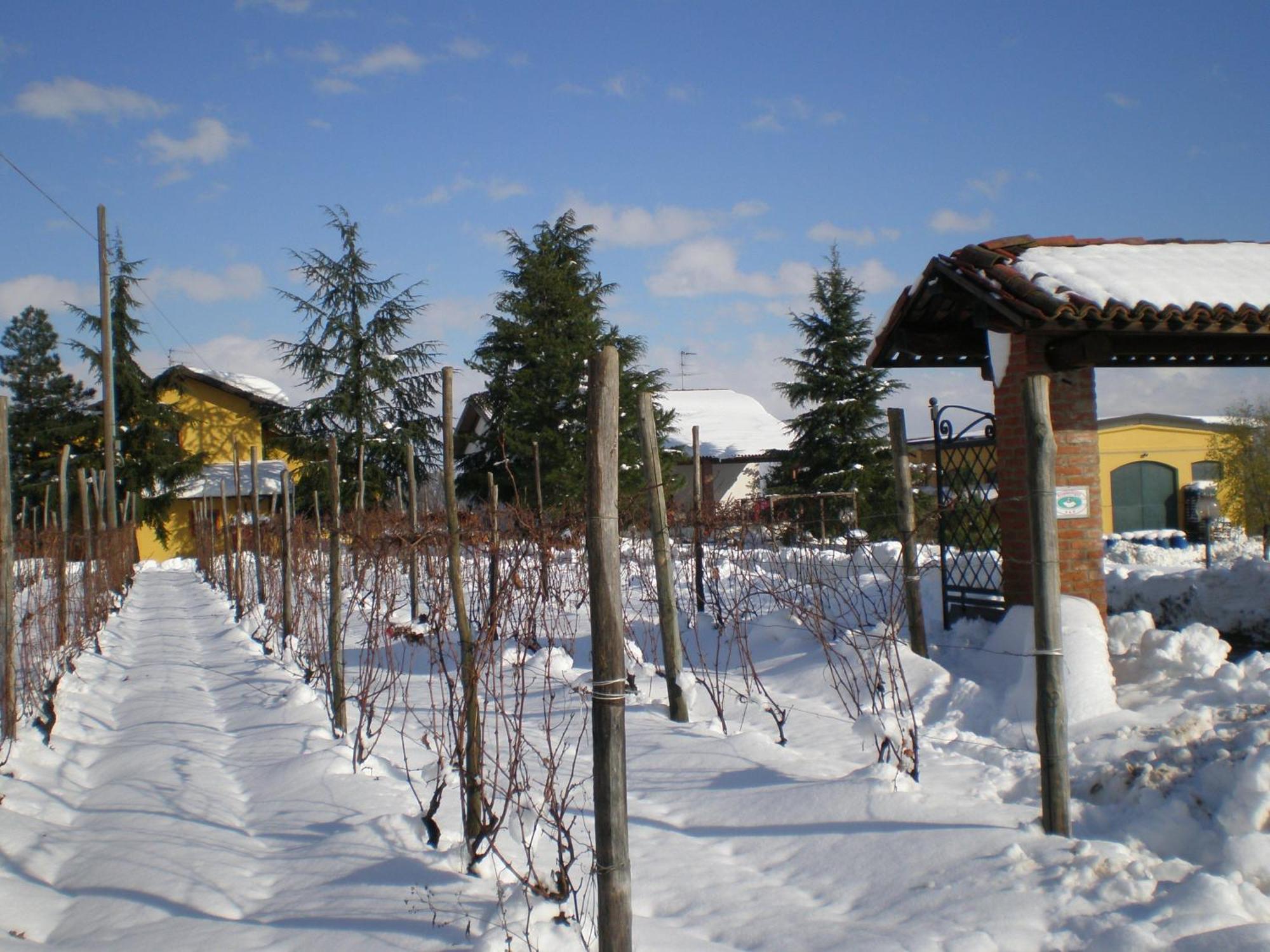 Cascina La Maddalena Bed & Wine Villa Rocca Grimalda Dış mekan fotoğraf